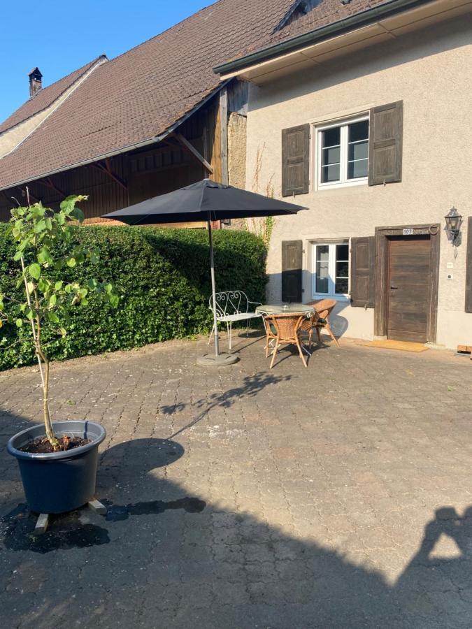 Ruhige 2 Zimmer Wohnung Diegten Экстерьер фото